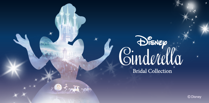 Disney Cinderella Bridal Collection