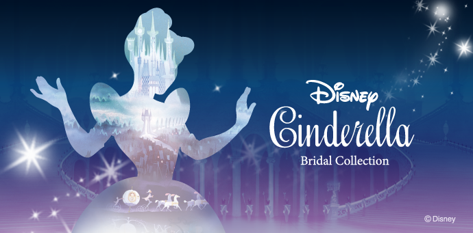 Disney Cinderella Bridal Collection